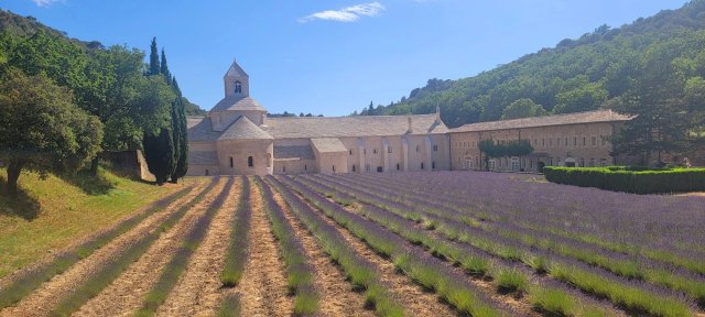 Sénanque Abbey, a medieval Cistercian monastery with gorgeous lavender fields in the foreground