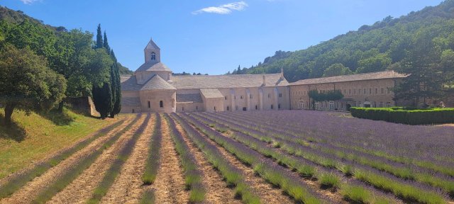 Senanque Abbey and a lavender field in Provence Senanque Abbey and a lavender field in Provence