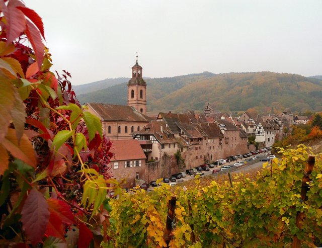 View of Riquewihr from the colorful vineyards in the fall