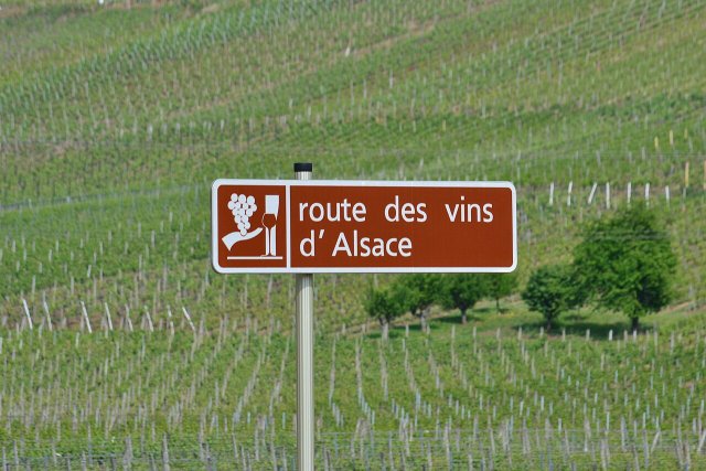 A sign in the vineyards along the Alsace Wine Route 