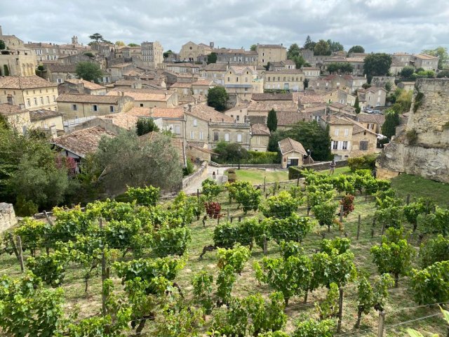 Saint Emilion town and a vineyard in the foreground