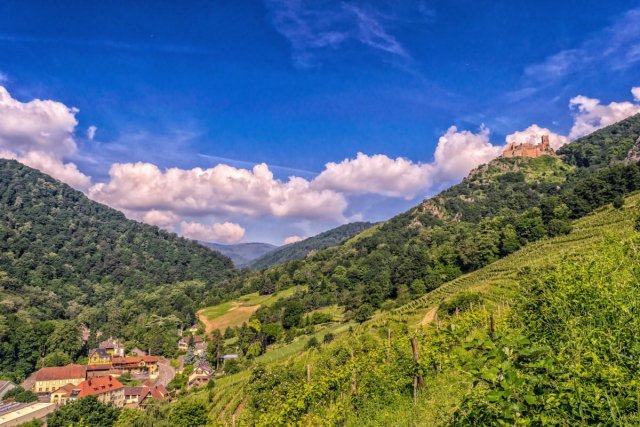 The Vosges mountains