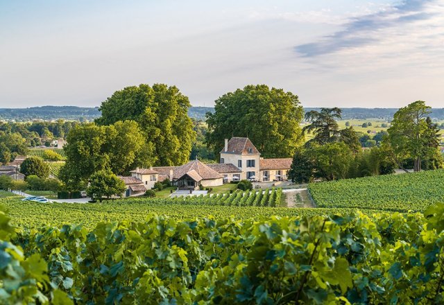 View of a wine estate in St Emilion