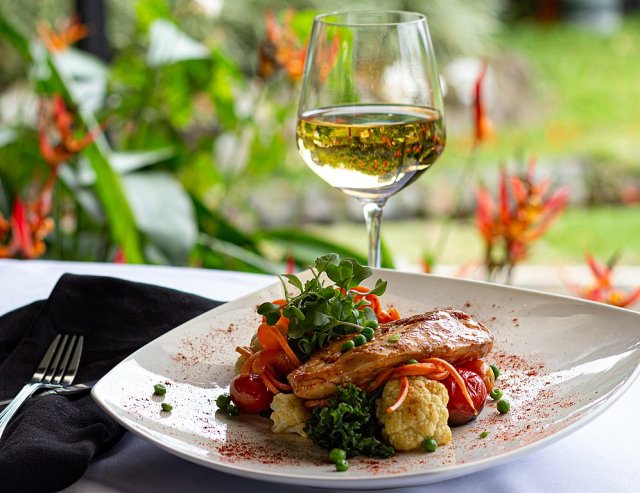 Chicken breast and vegetables on a white plate with a glass of white wine served outside in the garden