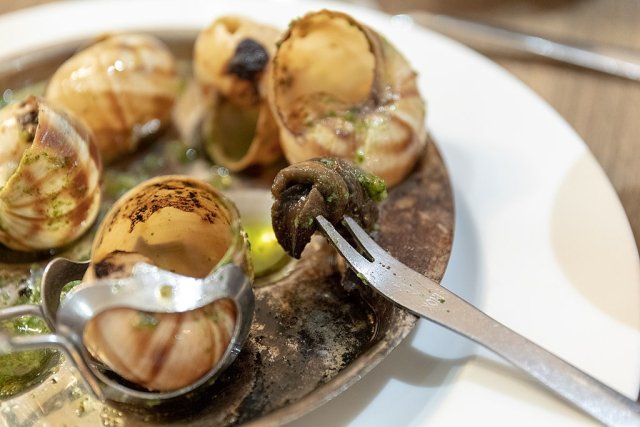 Escargots - Snails on a plate