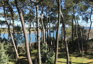 Enjoy gorgeous views which are changing along the day and tides