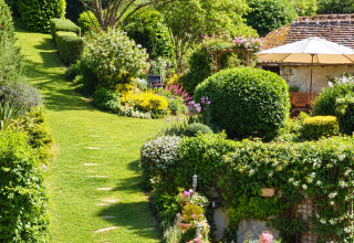 or in the garden