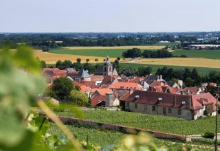 Your B&B is nestled in a lovely Champagne village