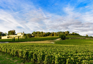 you may walk to Saint Emilion lively town