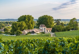 ...in Saint Emilion vineyards - ©Nicolas Claris ...in Saint Emilion vineyards - ©Nicolas Claris