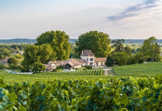 ...in Saint Emilion vineyards - ©Nicolas Claris