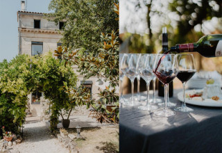 Stay in a peaceful house & taste Médoc wines right where they are made