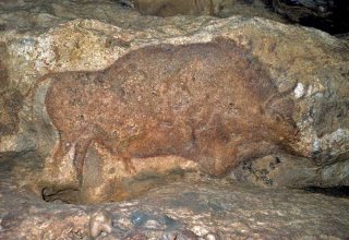 Original polychrome cave painting inside the Font de Gaume cave, Dordogne