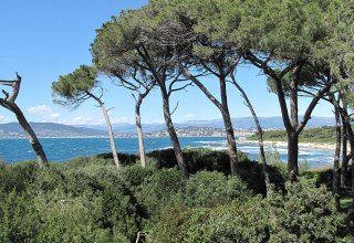 Sainte Marguerite island Sea views and trees on Sainte Marguerite island