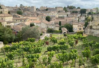 Saint Emilion town & vineyard