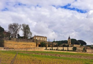 Saint Emilion vineyard