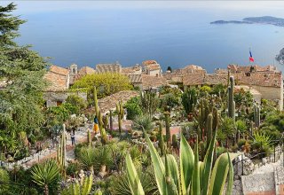 Exotic Gardens of Eze in the French Riviera