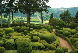 Topiaries in Marqueyssac Gardens