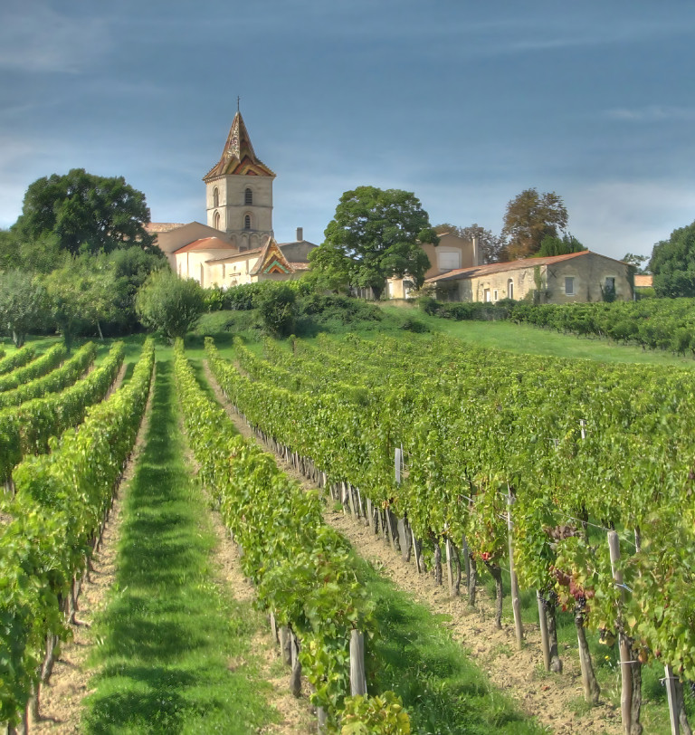 Gironde vineyard, Bordeaux
