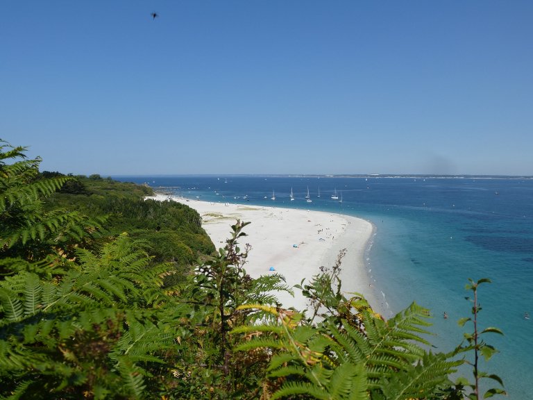 Groix island beach in Brittany in the summer. The sand is white, the sea is turquoise, the sky is clear, and there are green trees in the foreground and to the left