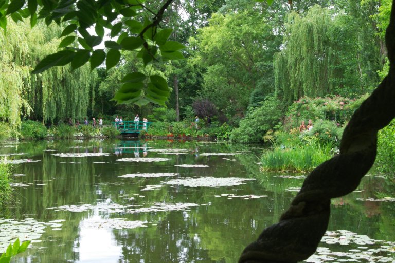 Monet's garden pond in Giverny