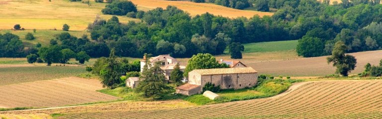 Provence landscape