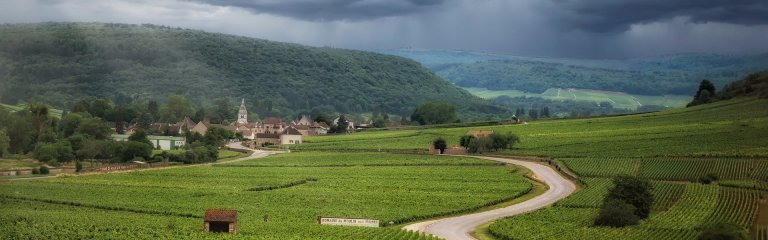 Road through Burgundy wine region
