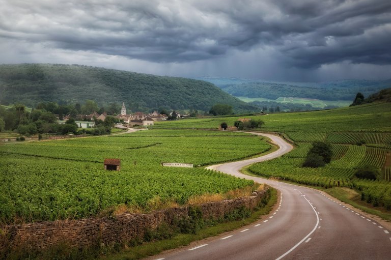 Road through Burgundy wine region