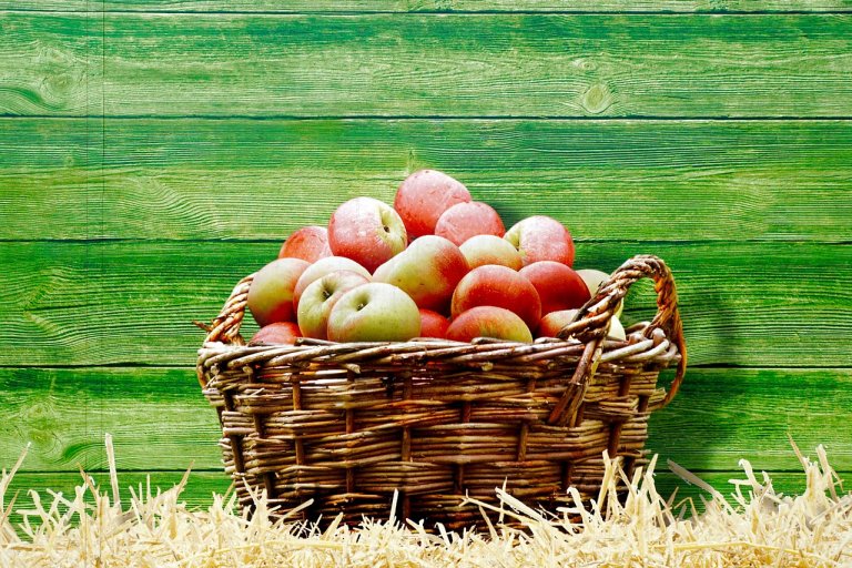 Basket of apples