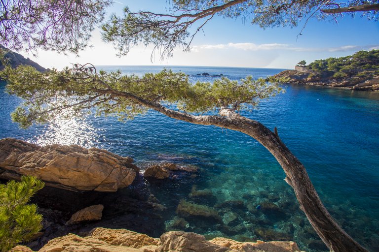 The Calanques Creeks