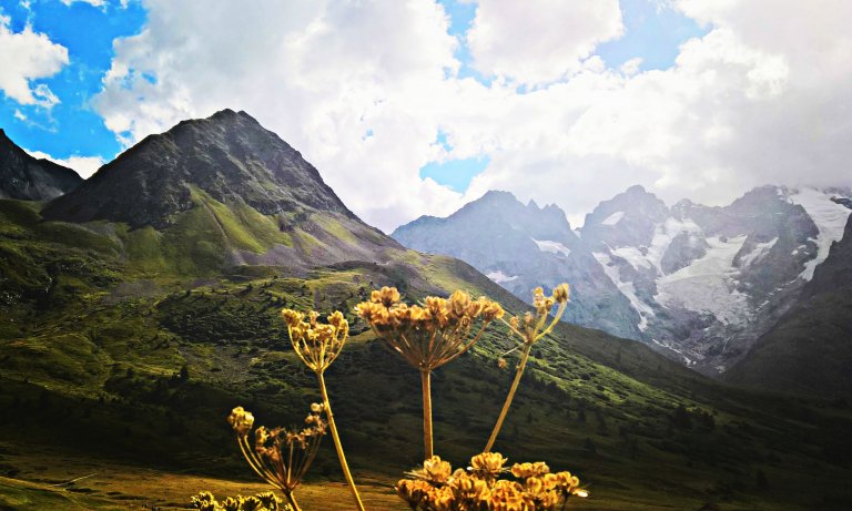 French alps