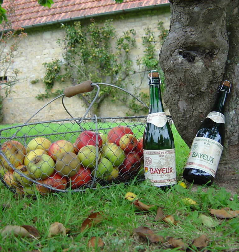 Calvados and Apples - Normandy Cider Route