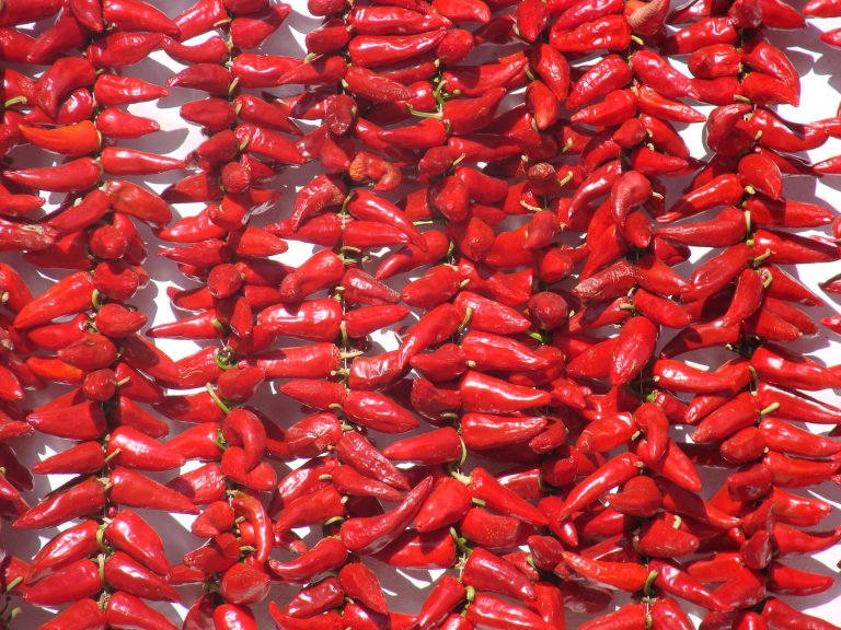 Espelette peppers