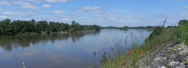The Loire River