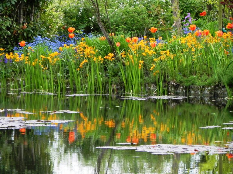 Flowers reflecting in the waters in Monet's garden in Giverny