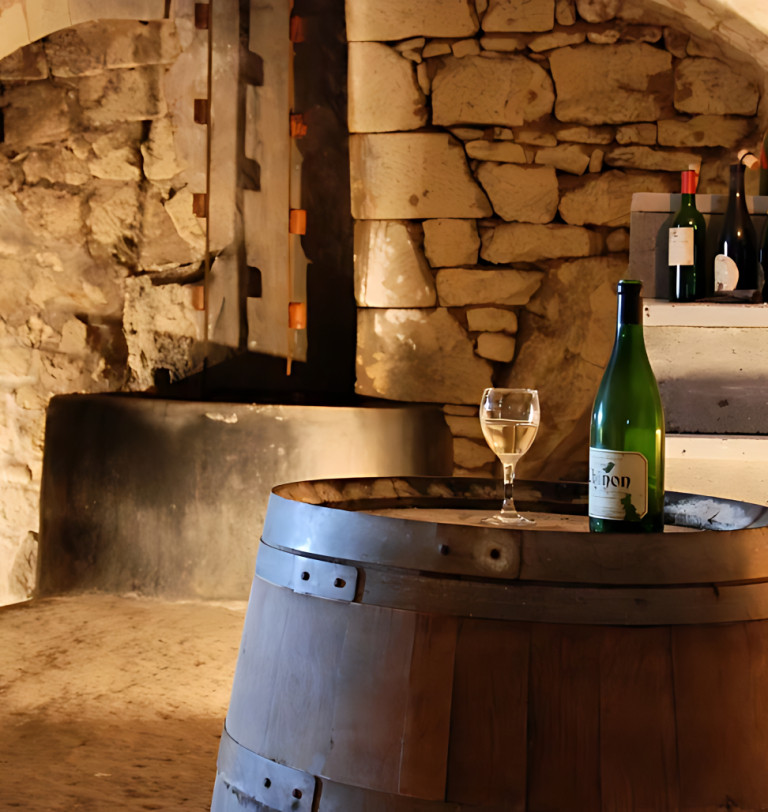 A wine cellar with bottles of wine