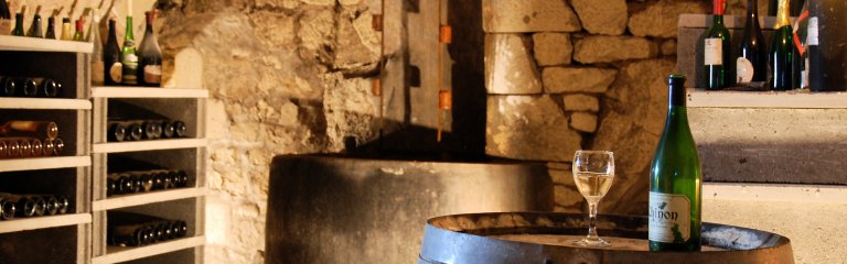 A wine cellar with bottles of wine