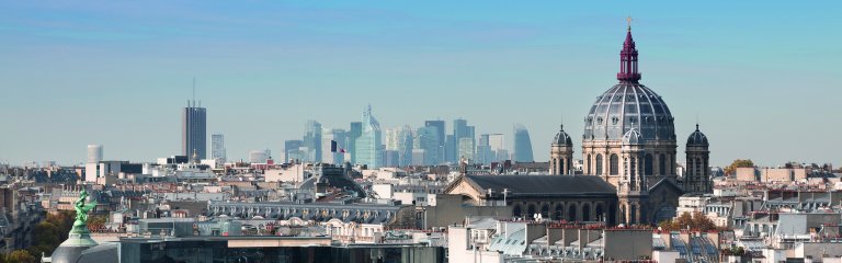 Paris roofs