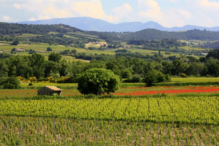 Luberon, Provence