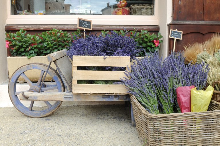 Herbs of Provence