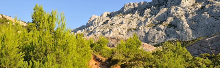 Provence countryside