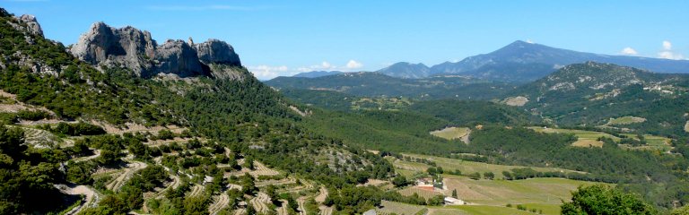 Dentelles in Provence