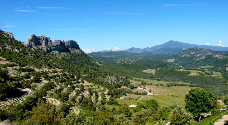 Dentelles in Provence