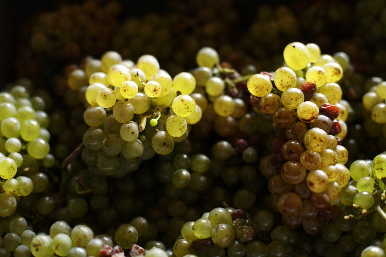 bed and breakfast france selection process