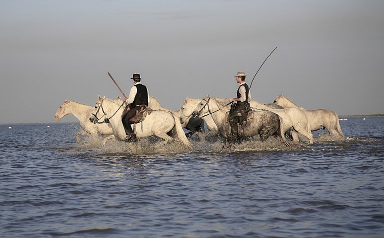 Gardians in Camargue region