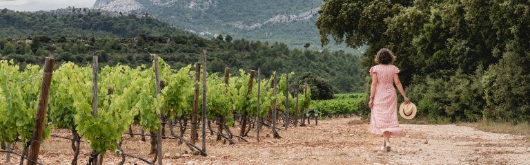 Stroll in Provence