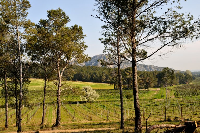 france itinerary 4 weeks