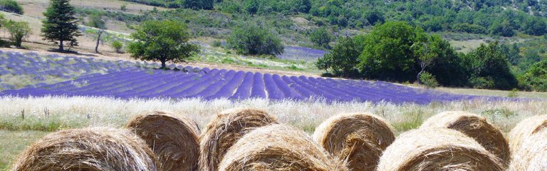 Provence landscapes