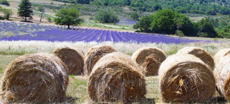 Provence landscapes