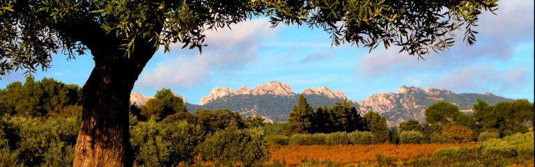 Alain Hocquel - CDT Vaucluse